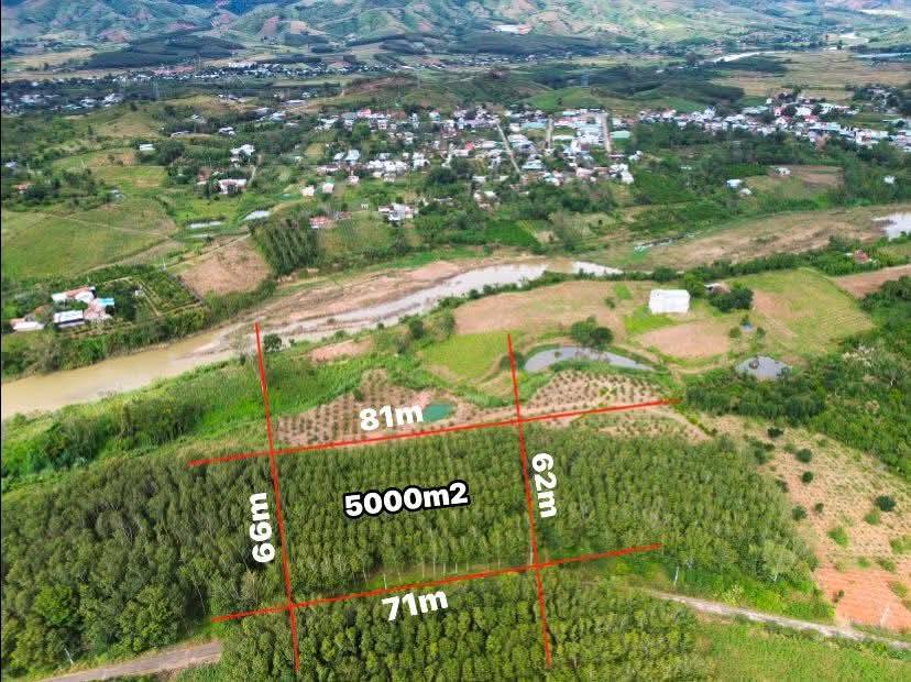 Đất Tân Lập, Kon Rẫy 71m² giá 1.35 tỷ - Tiềm năng đầu tư lớn!