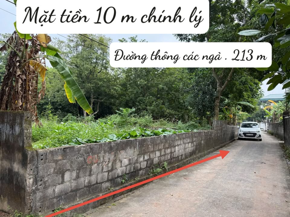Đất thổ cư Chính Lý, Lý Nhân 213m² giá 1.3 tỷ - Đầu tư sinh lời hấp dẫn!