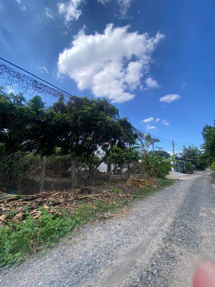 Đất nền Trường Phú, Long Hoa, Tây Ninh 142m² giá 620 triệu - Pháp lý rõ ràng, vị trí đẹp!