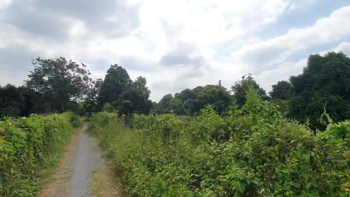 Đất vườn Tân An 1400m² giá 4,9 tỷ - Cơ hội đầu tư hấp dẫn!