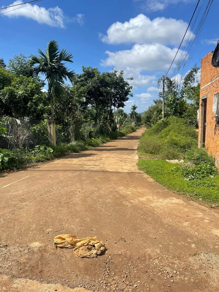 Đất nền góc 2 mặt tiền Ea Tiêu 230m² giá 2.95 tỷ - Đầu tư sinh lời hấp dẫn!