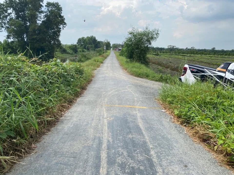 Đất nền 1 hecta tại xã Tân Phước 1, tỉnh Đồng Tháp - Đầu tư sinh lời, giá chỉ 1.7 tỷ!