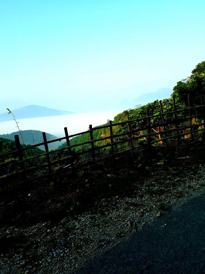 Đất nền Cao Dương, Thanh Thủy 500m² - Sổ đỏ chính chủ, giá thỏa thuận!