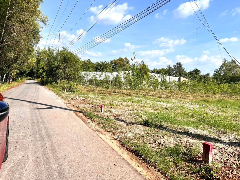 Đất nền thổ cư 250m² tại ĐT749A, Long Hòa, Cần Giờ - Sổ đỏ chính chủ!