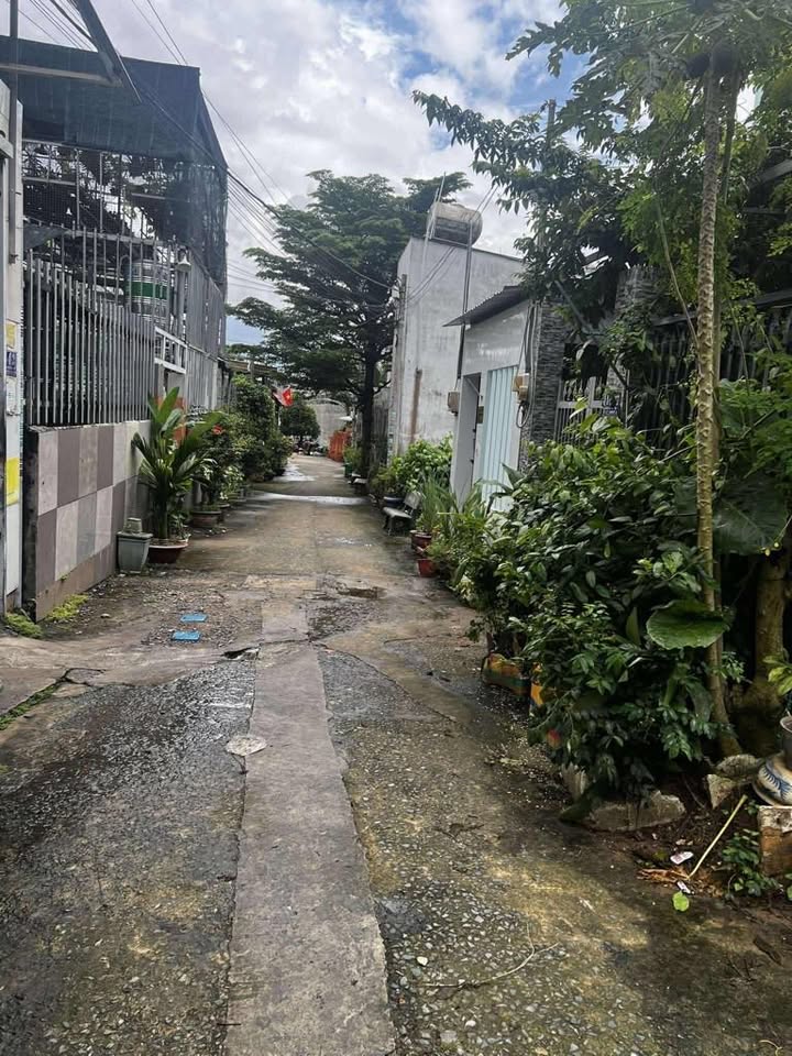 Nhà phố Thủ Đức 80m² giá 3.6 tỷ - Đầu tư sinh lời ngay!