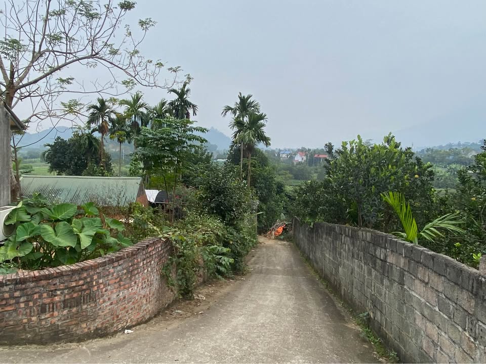 Đất nghỉ dưỡng lô góc 900m² tại Yên Xuân - Giá chỉ 8 triệu/m², sổ đỏ chính chủ!