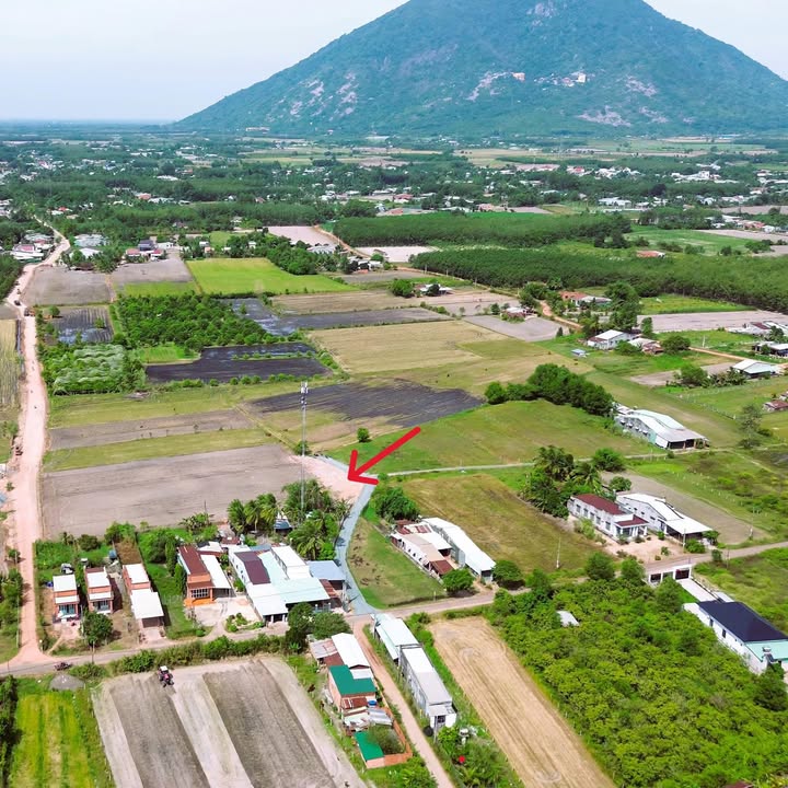 Đất nền xã Phan, Dương Minh Châu 165m² giá chỉ 2xx triệu - Cơ hội đầu tư hấp dẫn!