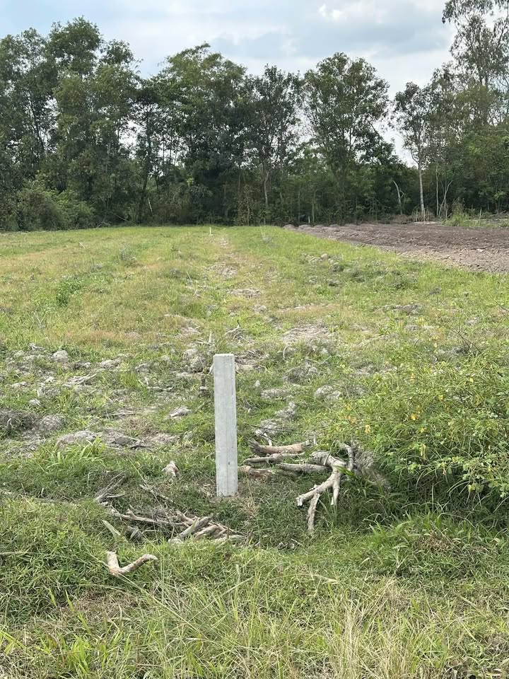 Đất nền Đồng Khởi, Châu Thành, Tây Ninh 1056m² chỉ 500 triệu - Cơ hội đầu tư vàng!