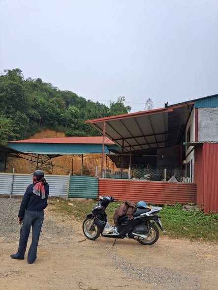 Đất thổ cư 400m² + nhà xưởng tại Yên Lương, Thanh Sơn - Giá 2 tỷ, đầu tư sinh lời!