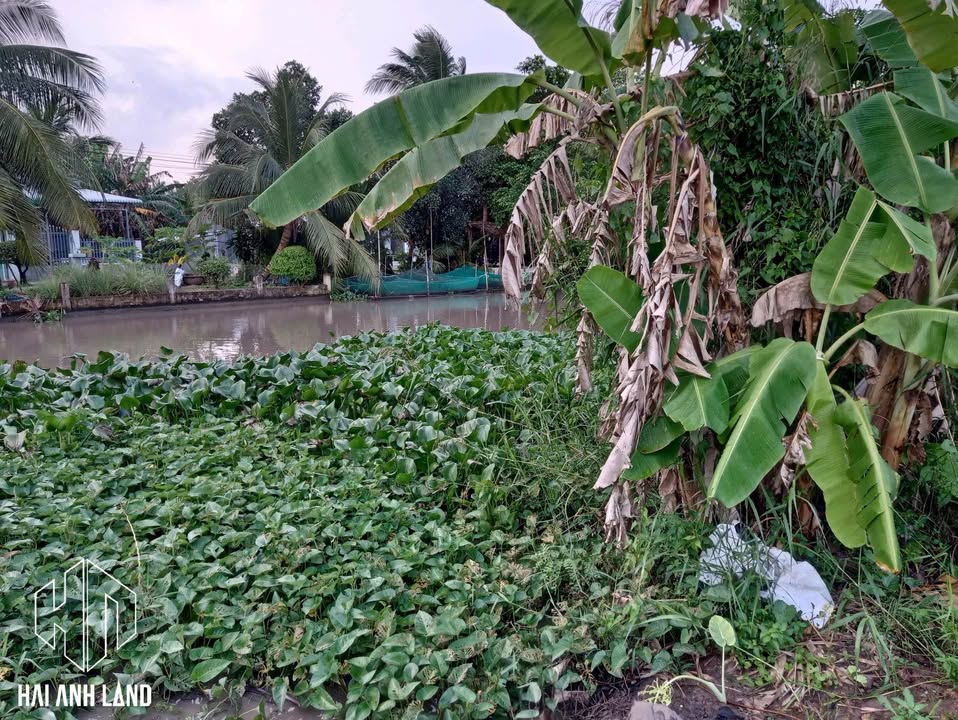 Đất mặt tiền đường Cù Là, xã Châu Thành, An Giang 166m² chỉ 480 triệu - Đầu tư sinh lời hiệu quả!