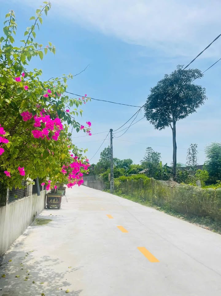 Đất nền Thạch Xuân 1026m² giá 6.426 tỷ - Cơ hội đầu tư sinh lời!