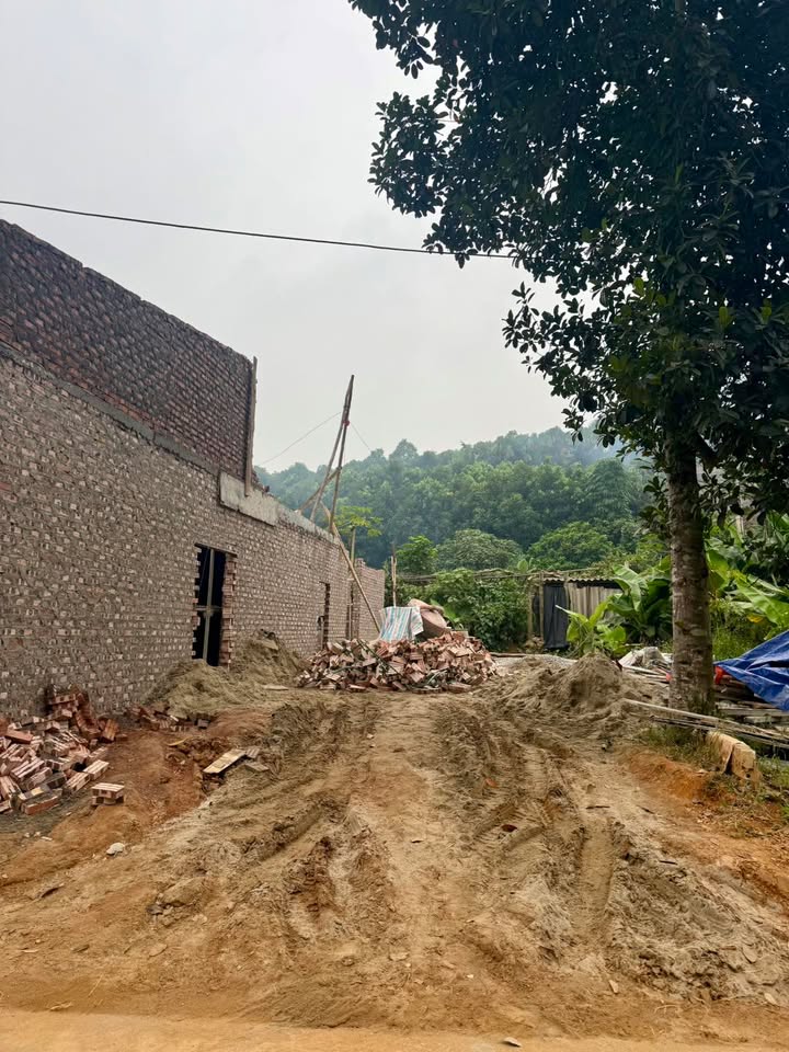 Đất nền đường Láng Tròn, phường Nam Cường, 52.3m² - Giá chỉ 700 triệu!