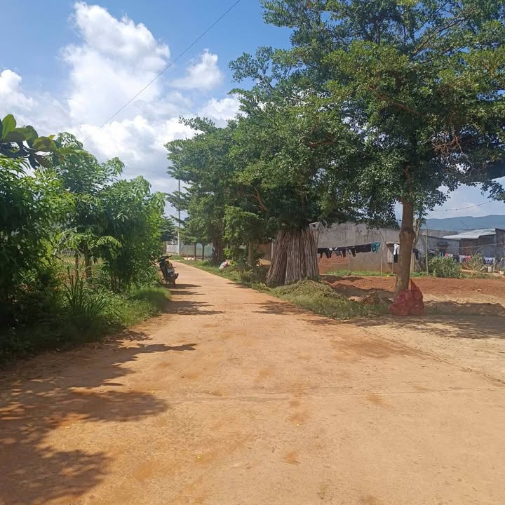 Đất thổ cư 252m² tại Kado, Đơn Dương - Giá chỉ 850 triệu, chính chủ bán gấp!