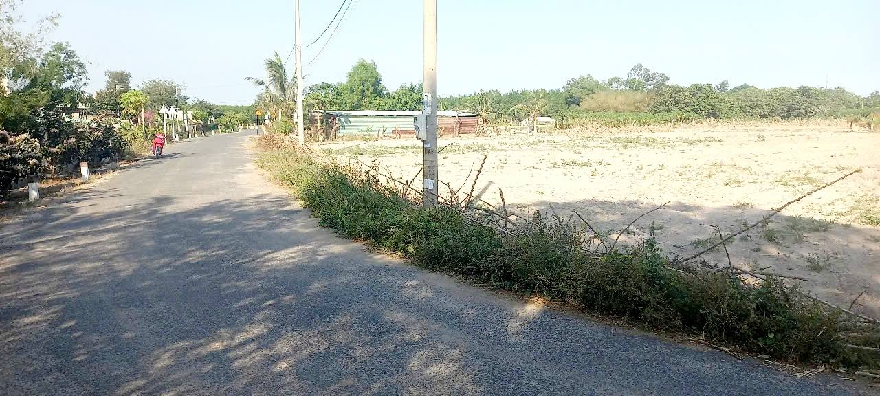 Đất Long Mỹ, Đất Đỏ 12.000m² giá 29 tỷ - Góc 2 mặt tiền đường nhựa