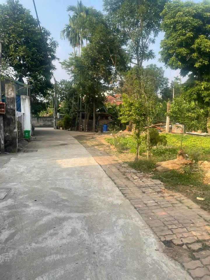 Lô đất TDP Hưng Kiều 2, An Tường 96m² giá 1.4 tỷ - Cơ hội đầu tư tuyệt vời!