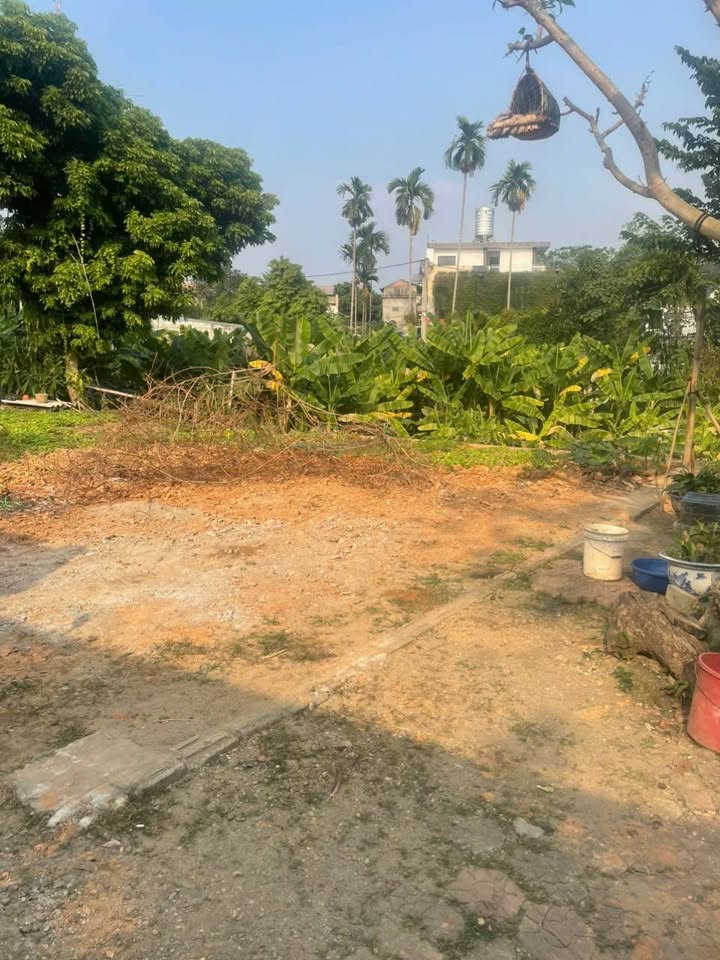 Bán đất TDP Hưng Kiều 2, An Tường, Tuyên Quang 96m² giá 1.4 tỷ - Đầu tư sinh lời!