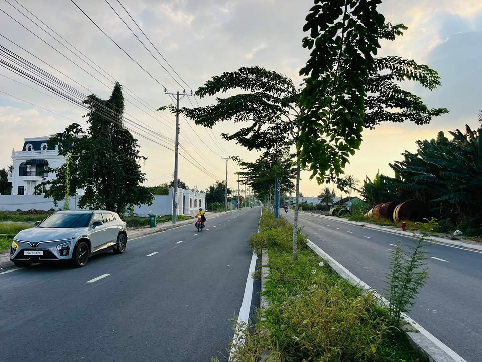 Đất nền mặt tiền đường Thái Thị Hạnh, Thới Long, Cần Thơ 195m² - Đầu tư sinh lời ngay!