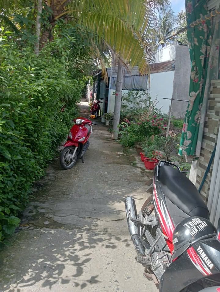 Đất thổ cư 147m² tại Mỹ Hòa, Bình Minh, Vĩnh Long chỉ 280 triệu - Cơ hội đầu tư tuyệt vời!