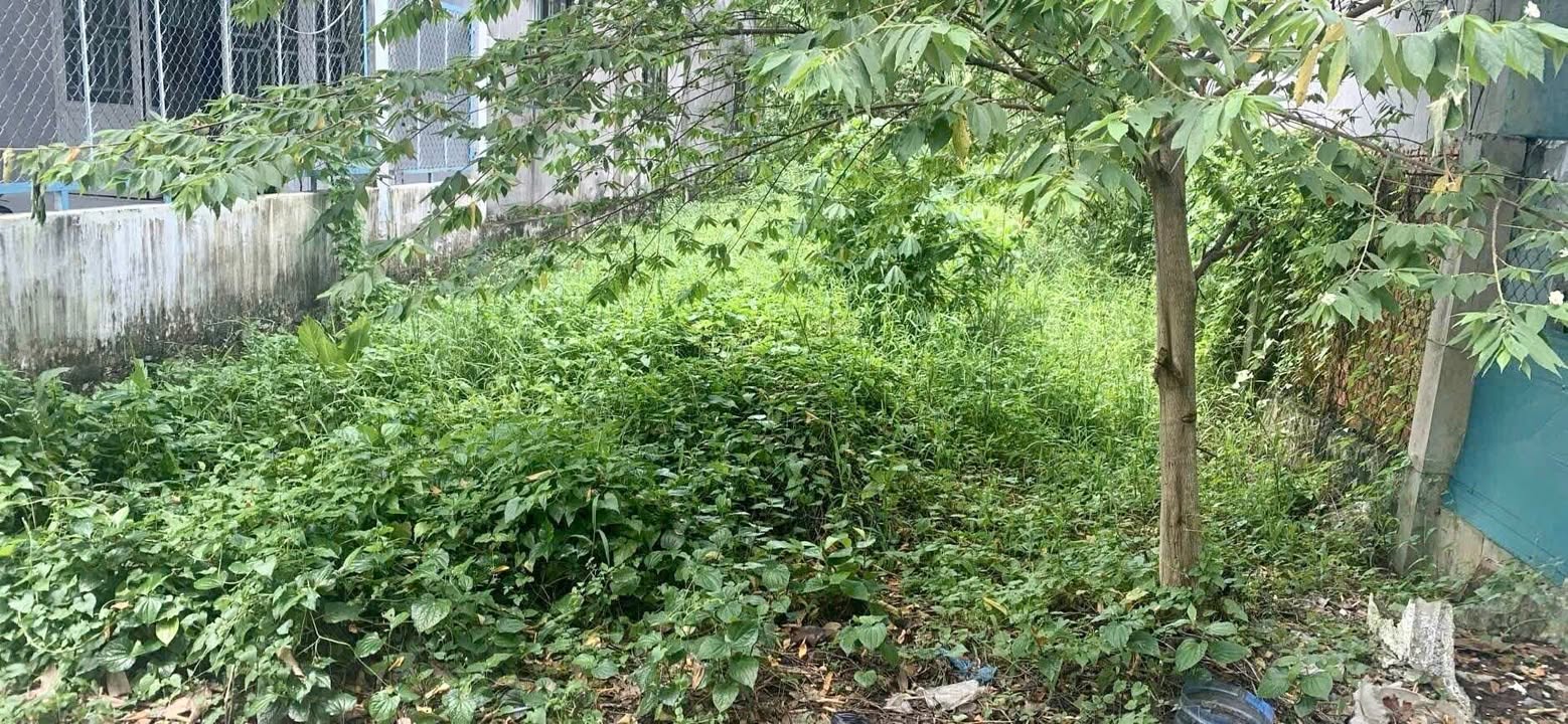 Đất nền 305m² hẻm 518 đường Bùi Hữu Nghĩa, Cần Thơ - Giá chỉ 900 triệu!