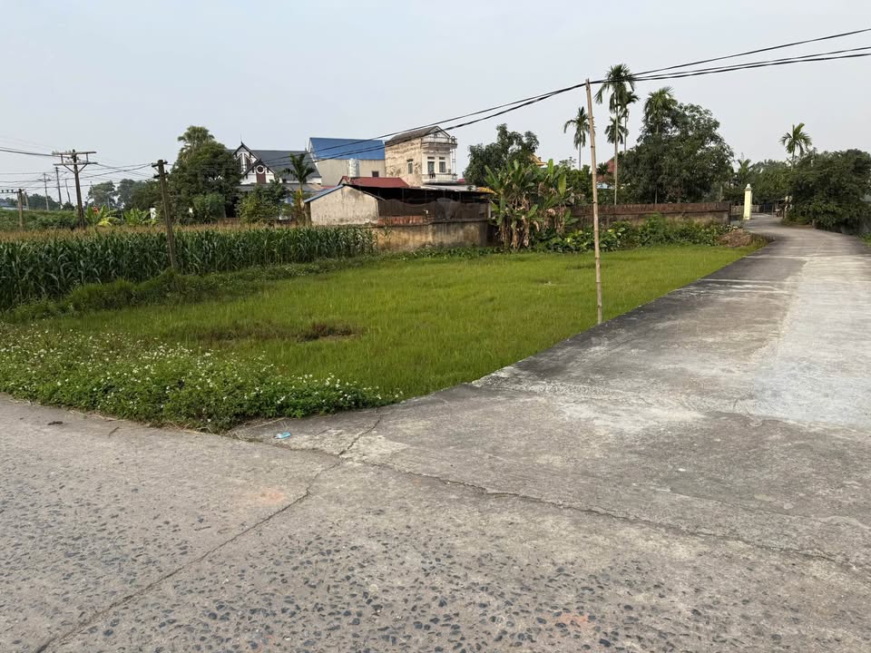 Đất Nam Tiến, Phổ Yên 450m², giá 1.4 tỷ - Đầu tư sinh lời ngay!