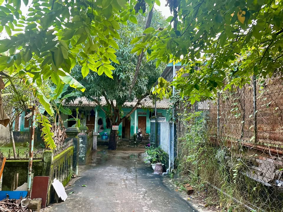 Đất nền Đông Hà 84m² giá chỉ 4xx triệu - Vị trí trung tâm tuyệt vời!