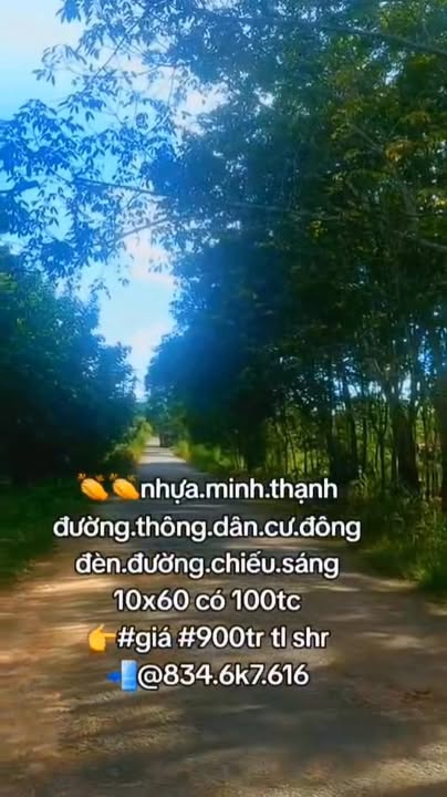 Đất nền Minh Thạnh, Dầu Tiếng 600m² giá 900 triệu - Đường thông dân cư đông đúc!