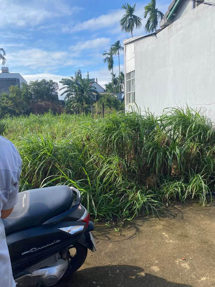 Đất nền Nghĩa Điền, Tư Nghĩa 140m² giá 600 triệu - Cách trục chính chỉ 50m!