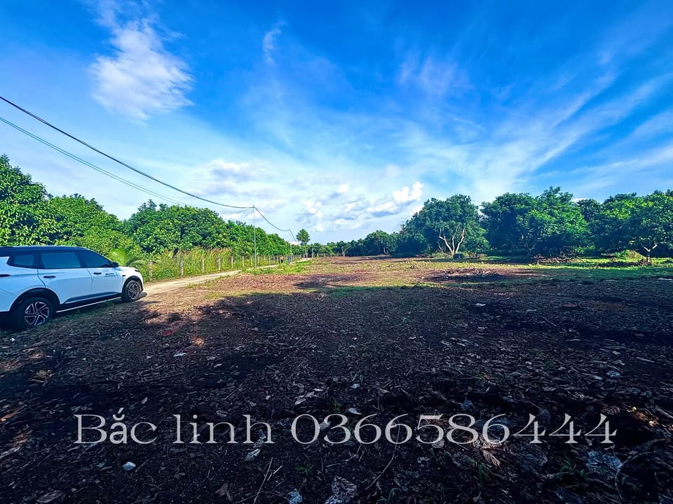 Đất nền ấp 1 - Bình Lộc 102m² giá 790 triệu - Tiềm năng đầu tư sống động!