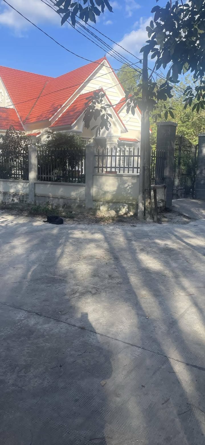 Đất nền Chơn Thành 250m² giá 400 triệu - Vị trí đẹp, cơ hội đầu tư tốt!