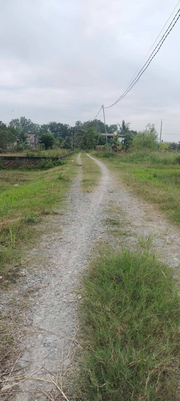 Đất thổ cư 150m² tại Mỹ Hạnh Nam, Đức Hòa chỉ 970 triệu - Đầu tư sinh lời ngay!