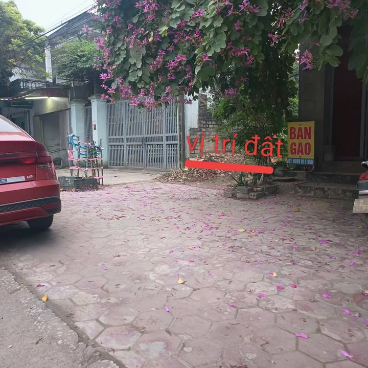 Đất nền Quốc lộ 1A, Trung Sơn, Tam Điệp 168m² giá chỉ 1 tỷ - Cơ hội đầu tư hấp dẫn!