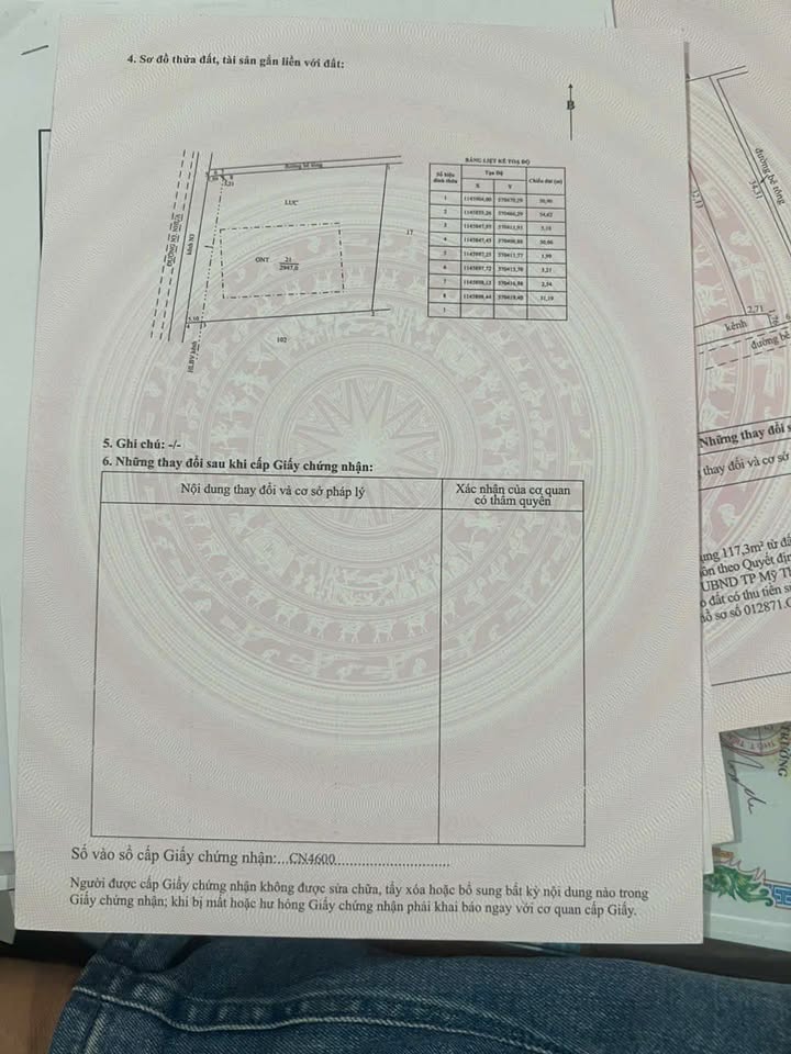 Đất mặt tiền D11, Tân Mỹ Chánh, 3000m² - Đầu tư sinh lời ngay!