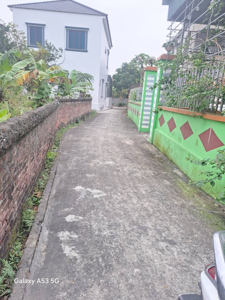 Đất nền tại Đồng Quang, Gia Lộc 124m² giá 500 triệu - Đường ô tô vào tận sân!