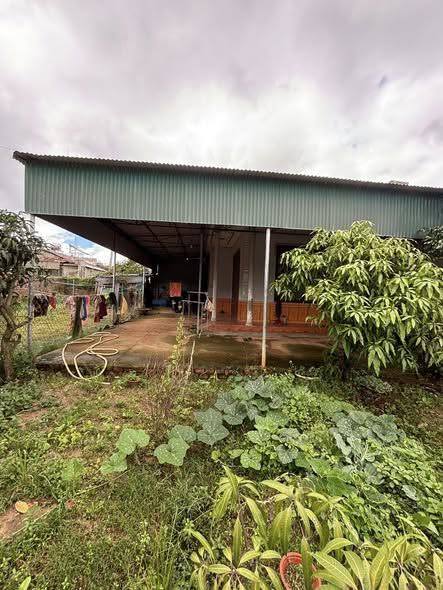 Nhà cấp vườn Hiệp An, Đức Trọng 500m² giá 5.2 tỷ - Vị trí đẹp, không ngập nước!