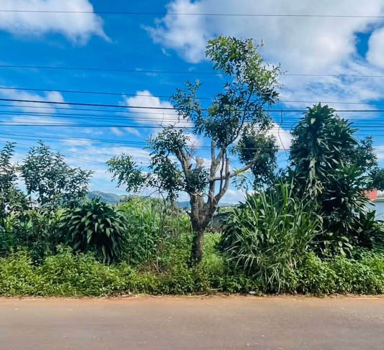 Đất nền 1 sào N'Thôn Hạ, Đức Trọng, Lâm Đồng - Gần sân bay Liên Khương chỉ 1.67 tỷ