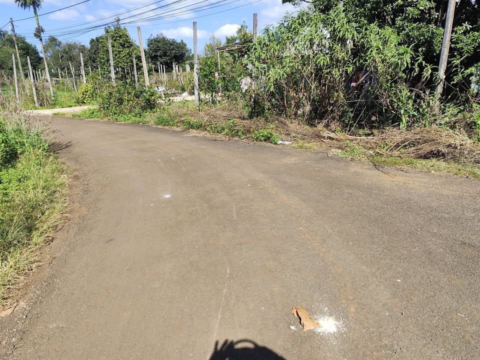 Đất vườn hẻm 294 Tôn Đức Thắng, Biển Hồ 245m² giá 350 triệu - Đầu tư sinh lời!