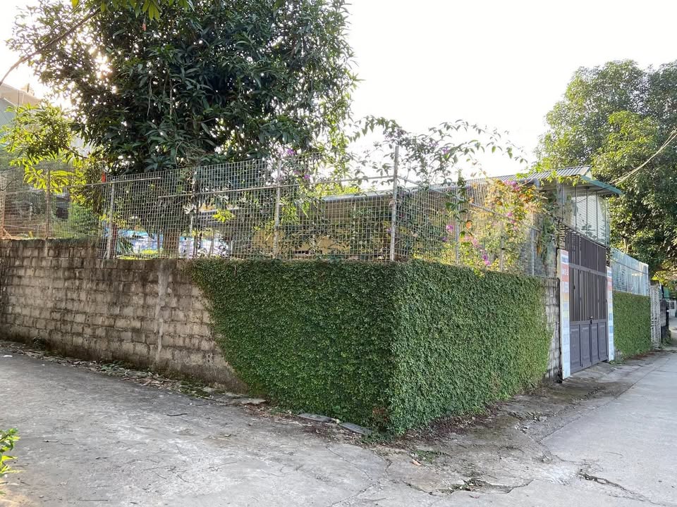 Nhà cấp 4 Hoàng Hoa Thám, Phú Thọ 290m² giá 1 tỷ - Sân rộng, thoáng mát!