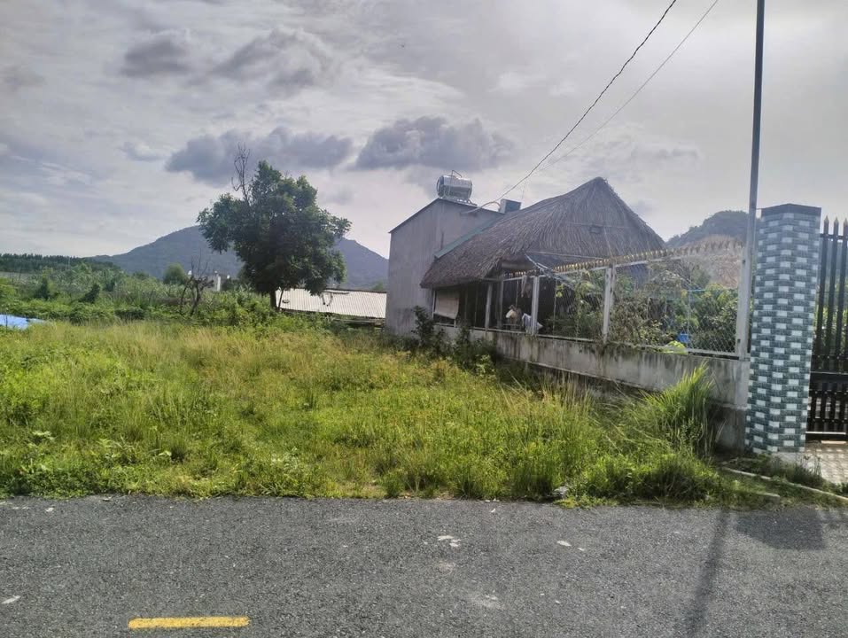 Đất nền Tân Phước Phú Mỹ 505m² - Bán gấp, cơ hội vàng cho nhà đầu tư!