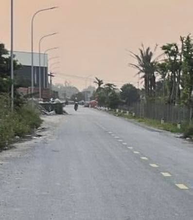 Đất trồng cây 200m² tại Song Phương - Hoài Đức, giá thỏa thuận - Đầu tư lý tưởng!