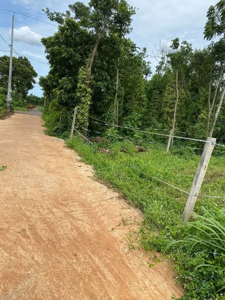 Đất thổ cư 100m² Bình Giã - Châu Đức chỉ 960 triệu - Cần bán gấp trong 2 ngày!