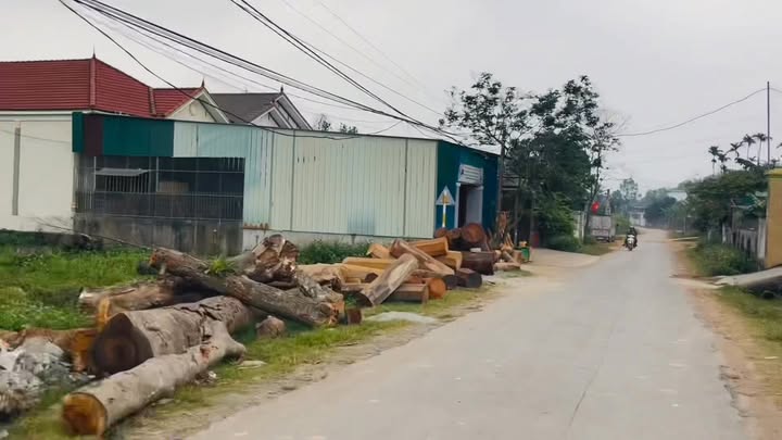 Đất nền Nam Thái, Nam Đàn 300m² giá 1 tỷ - Đầu tư sinh lời ngay!