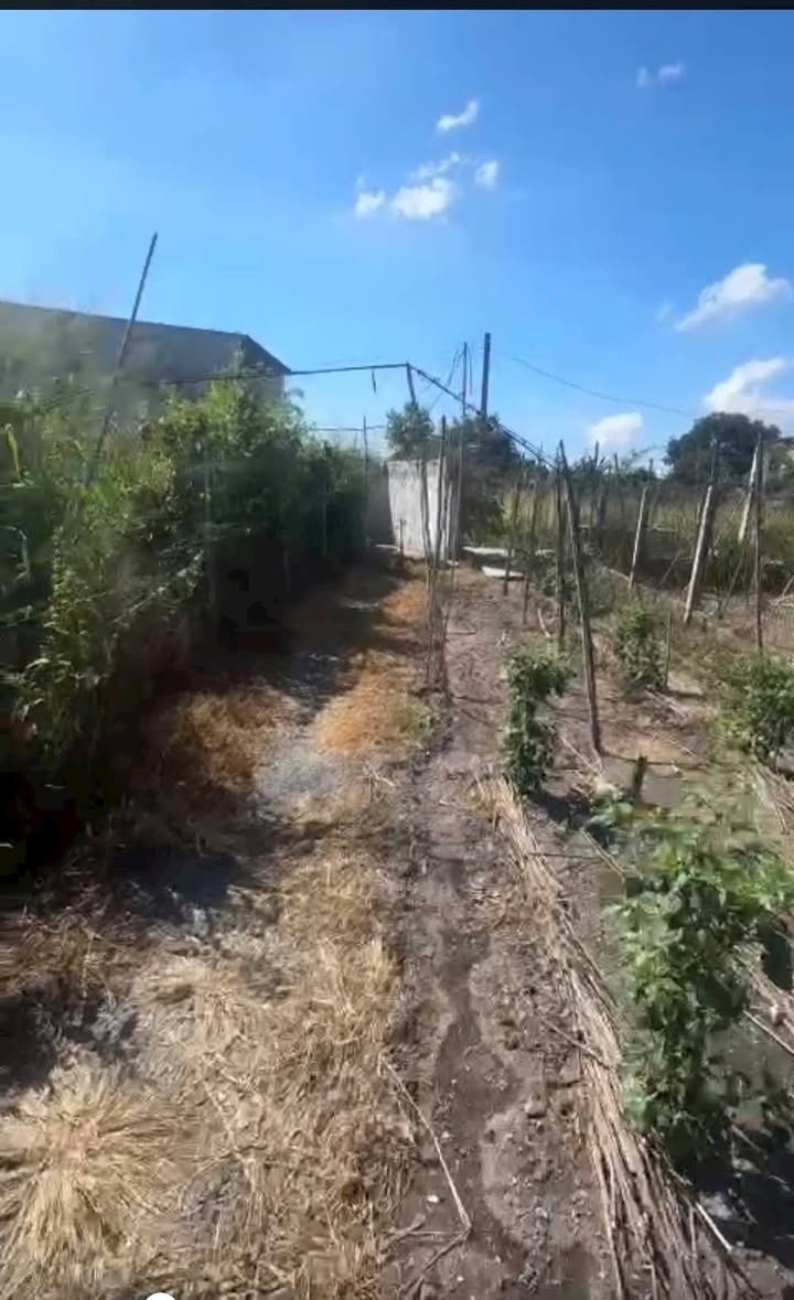 Nhà cấp 4 đường Lê Duẩn, Tân Ninh, 136m² - Giá thương lượng hấp dẫn!