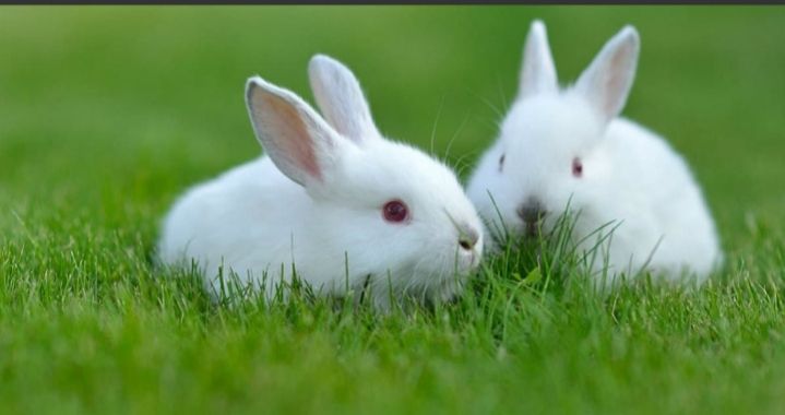 Nhà nghỉ kinh doanh Phường Hiệp Tân 377m² giá 4 tỷ - Cơ hội đầu tư hấp dẫn!