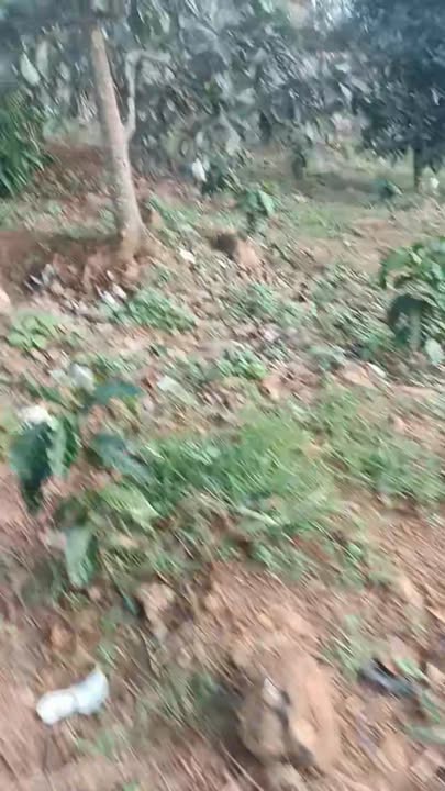 Đất nền xã Nam Ban, Lâm Hà 5919m² - Tiềm năng đầu tư lớn!