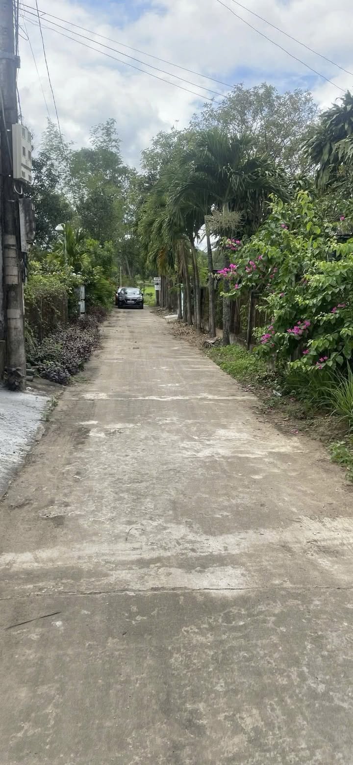 Nhà bán chính chủ đường Lê Hoàn, Phù Cát 1000m² - Tiện ích xung quanh hấp dẫn!