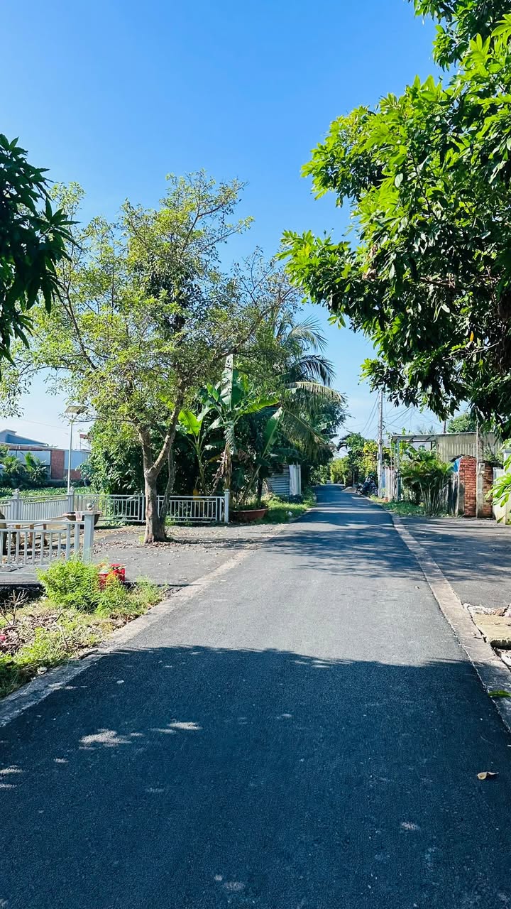 Nhà vườn 1.311m² tại Mỹ Trà, Đồng Tháp - Giá 4 tỷ, Đầy đủ tiện ích!