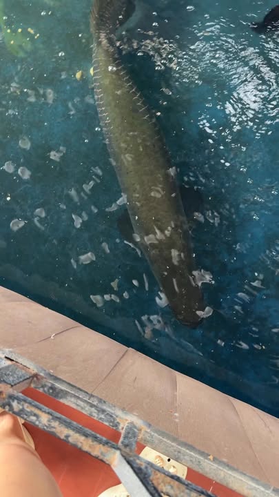 Đất thổ cư Pơng Drang 525m² giá 3.3 tỷ - Đường bê tông rộng rãi, vị trí trung tâm!