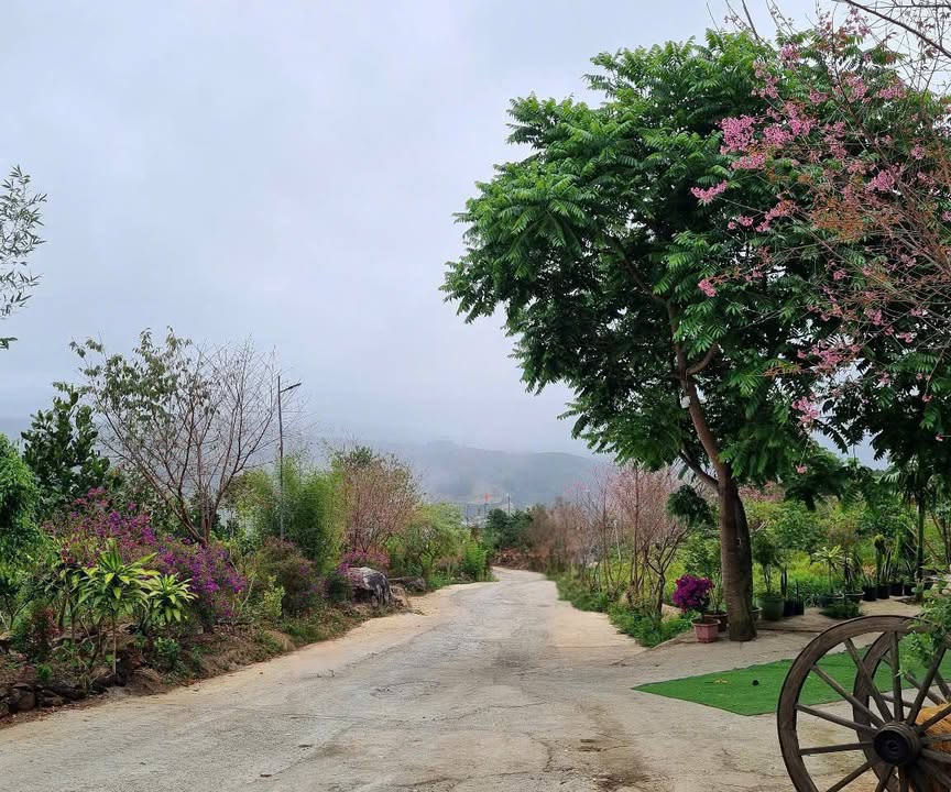 Đất vườn Hiệp An, Lâm Đồng 2ha giá 30 tỷ - Đầu tư sinh lời ngay!