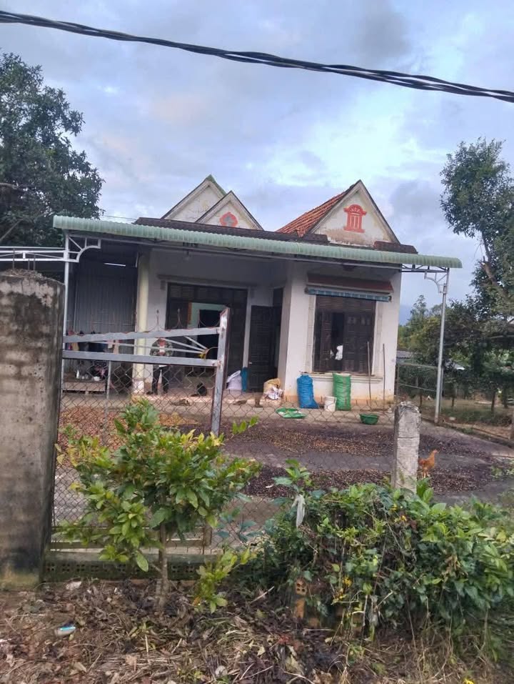 Farm 86400m² tại Cư Bông, Ea Kar - Giá rẻ dễ thương!