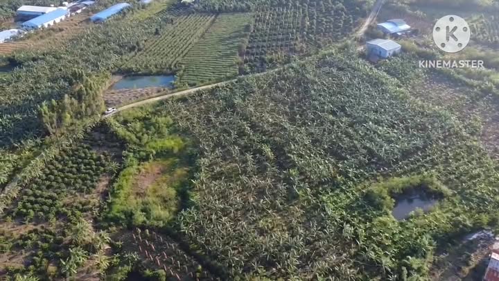 Đất nông nghiệp 2,2ha tại Xuân Phú, Đắk Lắk giá 5,5 tỷ - Đầu tư sinh lời tốt!